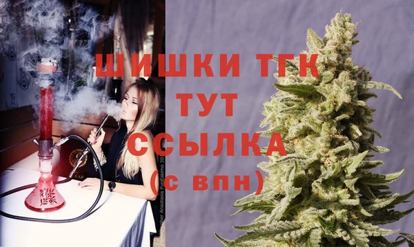 твердый Арсеньев