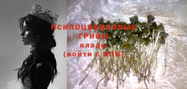 твердый Арсеньев