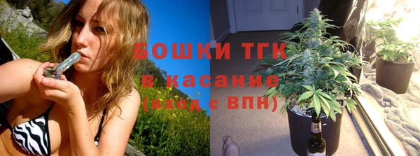 СК Аркадак