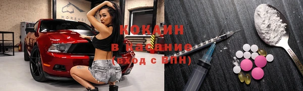 твердый Арсеньев