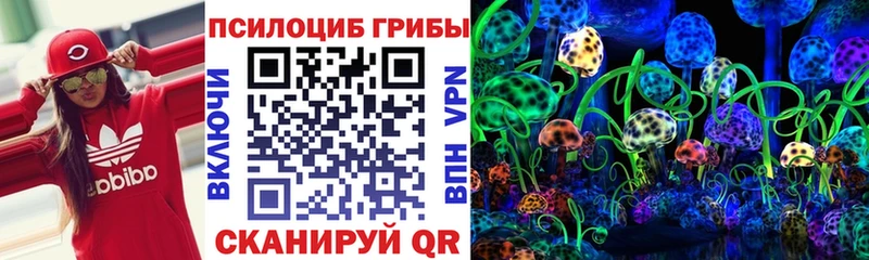 Галлюциногенные грибы мицелий Кемерово
